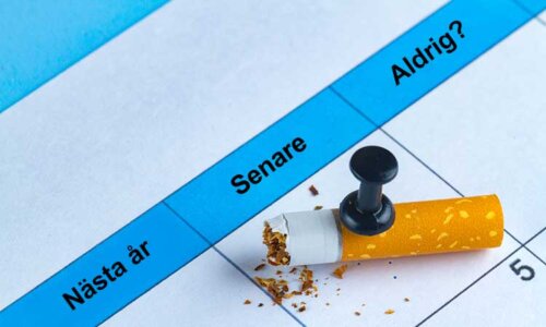 Bild på almanacka med texten nästa år, senare och aldrig. I rutan för senare syns en avbruten cigarett fastsatt med en nål. Syftet med bilden är att visa att att ungdomar inte vill sluta med nikotin nu utan först i framtiden.