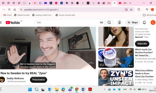 Skärmdump av Bild på Daddy wellness, Youtuber på Nikoteket lockar storpublik